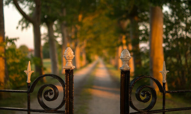 Motorized Gates for Driveways – Does an Automatic Gate Worth for an Investment Property?