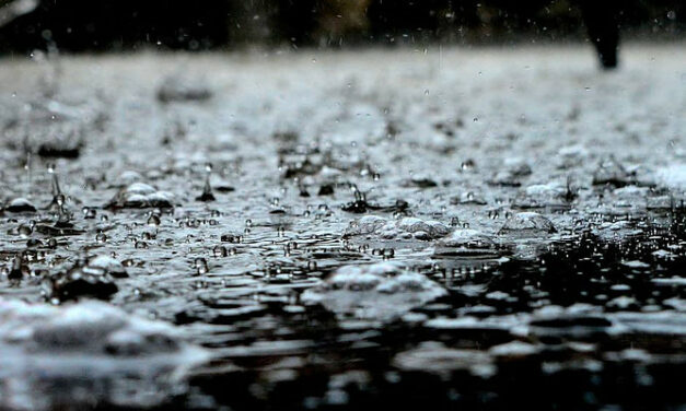 Can a Driveway Be Concrete in the Rain?