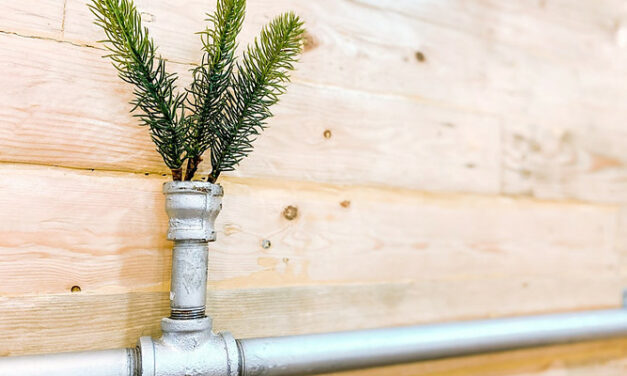 10 Things To Do If Your Tenant Makes Unnecessary Maintenance Requests